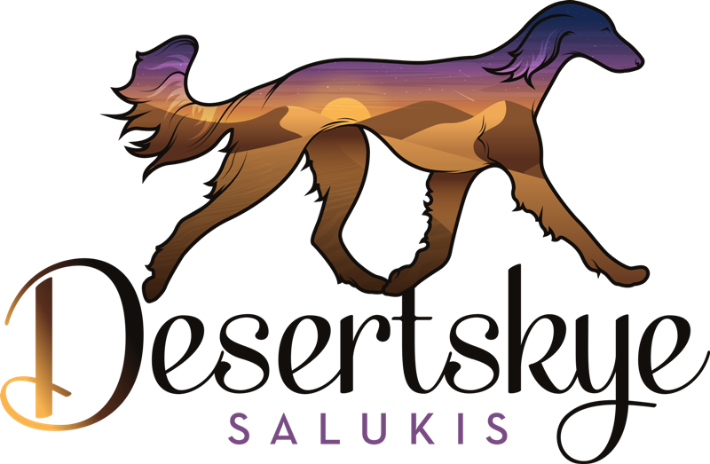 Desertskye Salukis